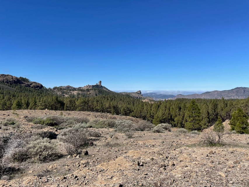 Roque Nublo rising above pine woodland and rocky ground