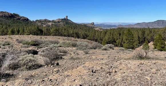 Gran Canaria: Roque Nublo Excursion
