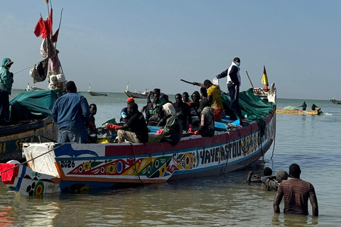 M'bour: Full-day immersion at the fishing harbor and arrival of the canoes