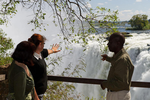 Experiência de dia inteiro nas Cataratas Vitória