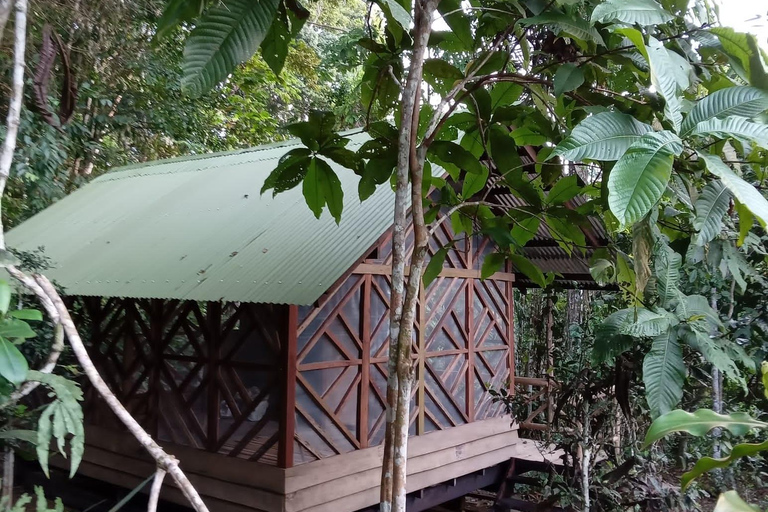 3-Day Amazon Expedition: Jungle, River & Wildlife Tour