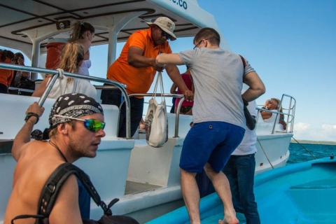 Ab Punta Cana: Gerätetauchen-Tour zur Isla CatalinaStandard-Gerätetauchen-Paket