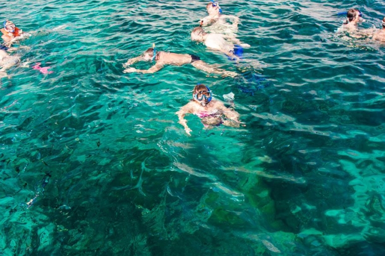 Punta Cana: Full-Day Snorkeling Tour to Catalina Island Full-Day Snorkeling Tour to Catalina Island — Standard