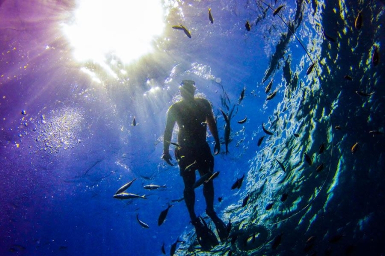 Punta Cana : journée snorkeling sur l'île CatalinaJournée de plongée à l'île Catalina : formule standard