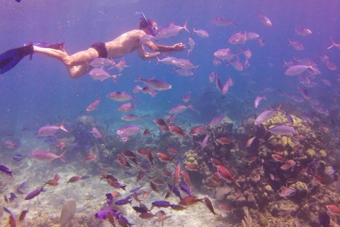 Punta Cana : journée snorkeling sur l'île CatalinaJournée de plongée à l'île Catalina : formule VIP