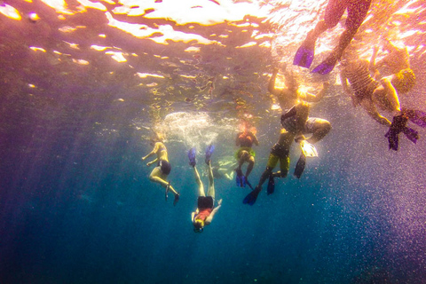 Punta Cana: dagvullende snorkeltour naar Isla CatalinaIsla Catalina: dagvullende snorkeltour — standaard