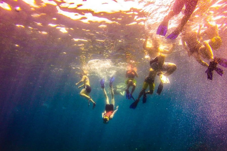 Punta Cana: Full-Day Snorkeling Tour to Catalina Island Full-Day Snorkeling Tour to Catalina Island VIP Package