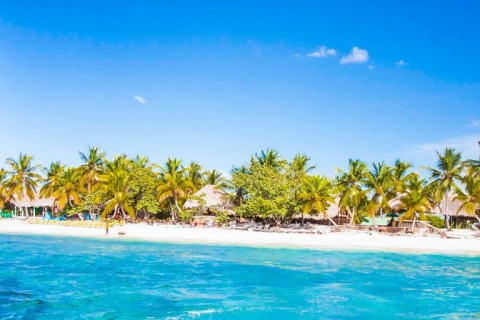 Punta Cana: Full-Day Snorkeling Tour to Catalina Island Full-Day Snorkeling Tour to Catalina Island — Standard