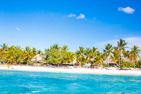 Ab Punta Cana: Schnorchel-Tagestour zur Isla CatalinaSchnorchel-Tagestour zur Isla Catalina - VIP-Paket