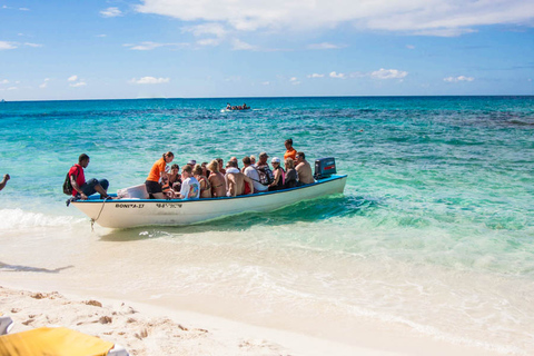 Ab Punta Cana: Schnorchel-Tagestour zur Isla CatalinaSchnorchel-Tagestour zur Isla Catalina - VIP-Paket