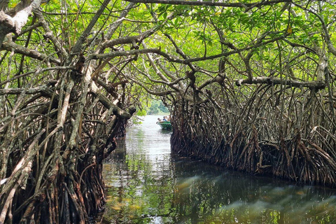 Enjoy a relaxing boat ride in Madu River