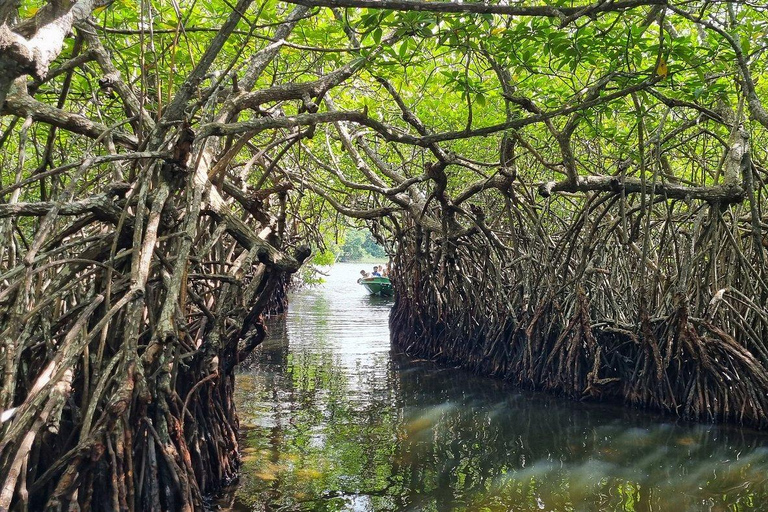 Enjoy a relaxing boat ride in Madu River