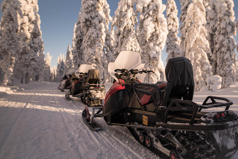 Levi: 4 Hour Snowmobile Safari to the Fells in Levi