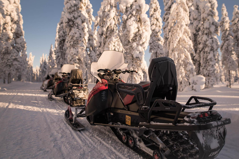 Levi: 4 Hour Snowmobile Safari to the Fells in Levi
