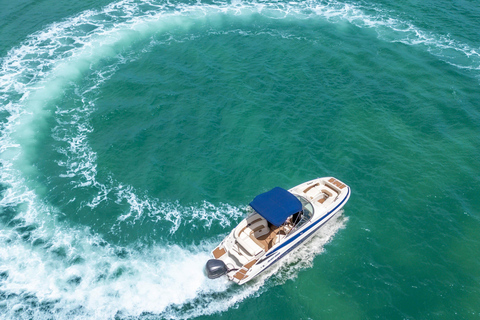 Miami: Private Boat Tour with Swimming Break