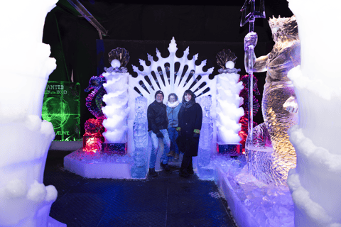 Biddinghuizen: Dutch Ice Sculpture Festival Entry Ticket