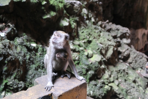 Kuala Lumpur: Wycieczka prywatna do Jaskiń Batu