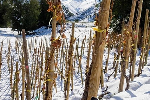 PORTILLO LA MAJESTÉ DES ANDESLA MAJESTÉ DES ANDES