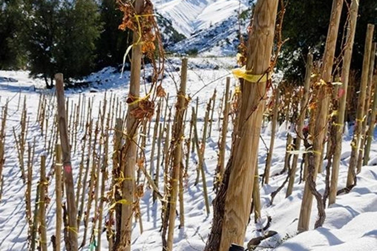 PORTILLO LA MAJESTUOSIDAD DE LOS ANDESLA MAJESTUOSIDAD DE LOS ANDES