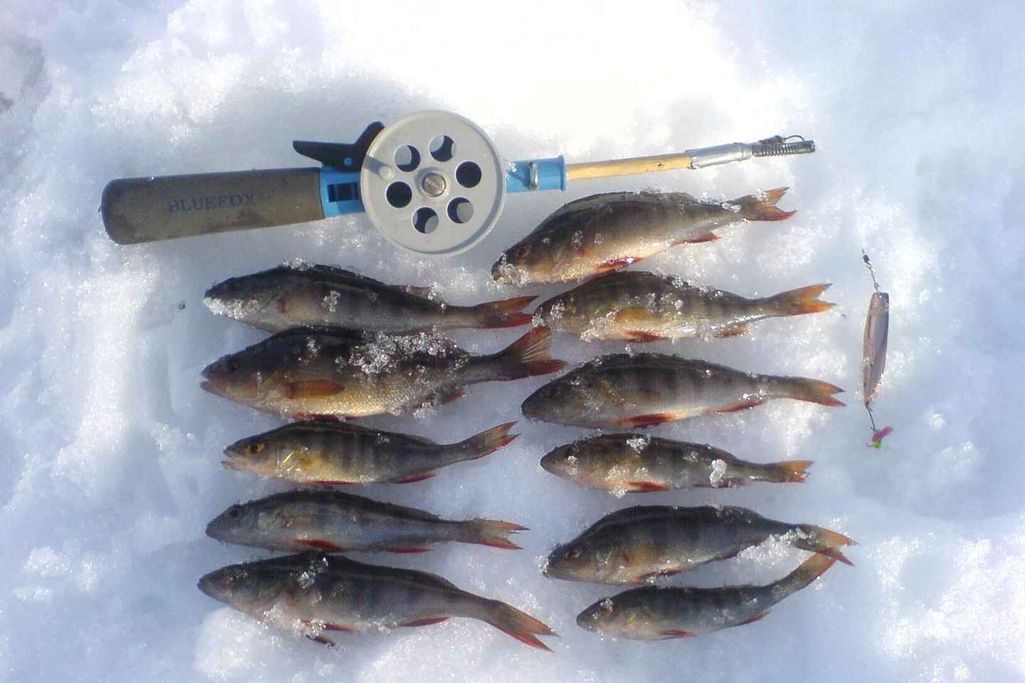 Ice-Fishing by Foot on Lake Ylläsjärvi