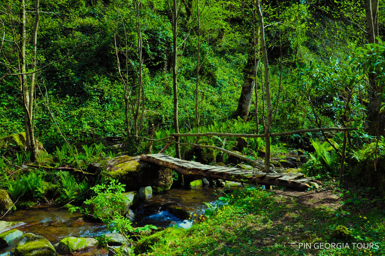 Batumi: Mtirala National Park Guided Hiking & Treetop Tour Mtirala National Park Private Tour