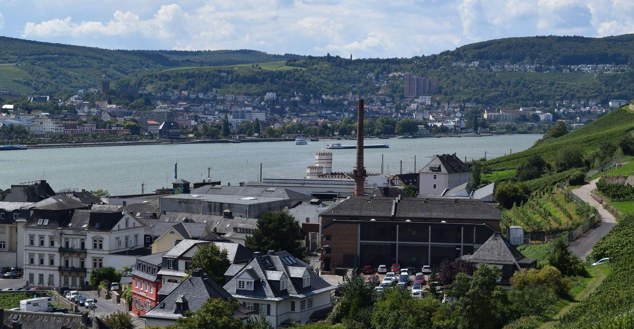 Rüdesheim, visite à pied guidée privée - Housity