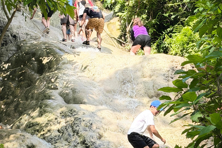 Chiang Mai: Bua Thong Sticky Waterfalls with Hotel Transfer Sticky Waterfalls with Hotel Transfer