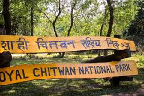 2 N 3 Giorni di tour di Chitwan da Pokhara o KathmanduPacchetto turistico Chitwan di 2 o 3 giorni da Kathmandu o Pokhara