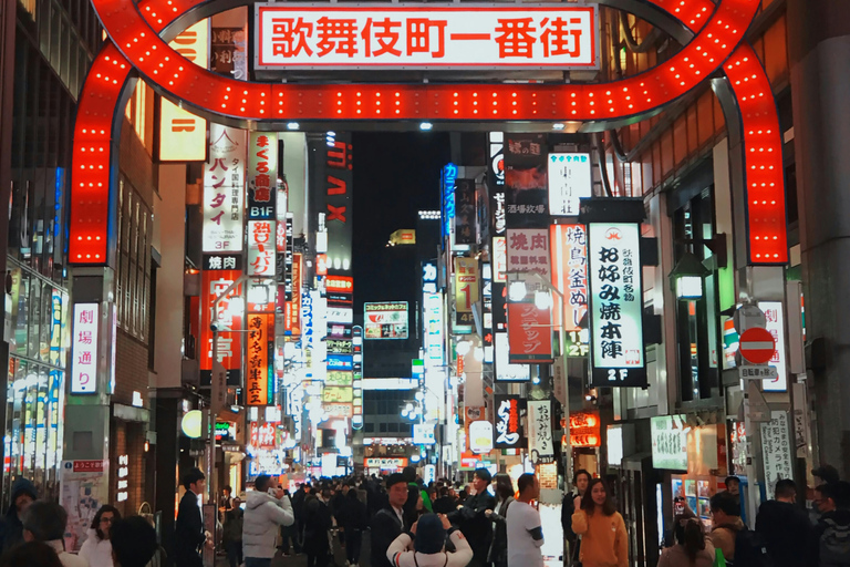 Tokyo: Tour privato di un giorno con autista in inglese