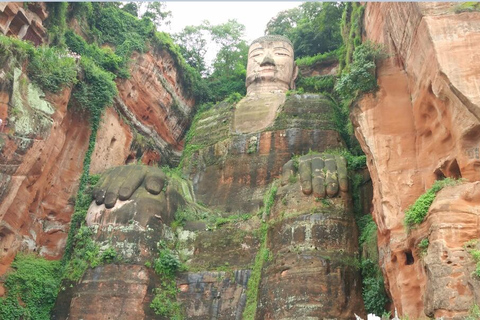Chengdu Private Tour of Leshan Buddha and Panda Base