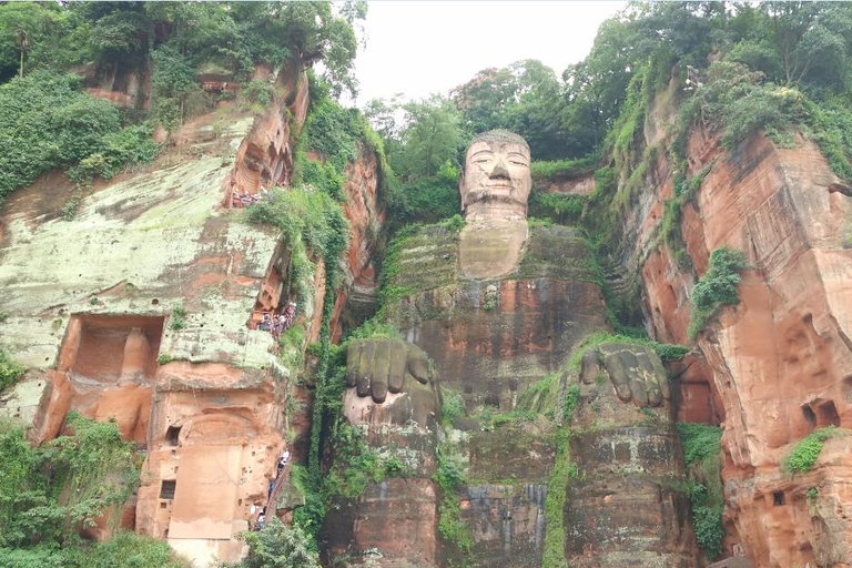 Chengdu Private Tour of Leshan Buddha and Panda Base