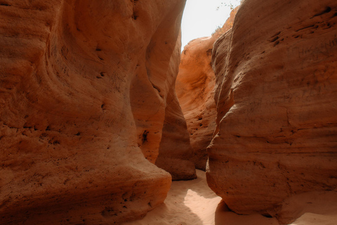 Agadir/Taghazout : sandboard et thé au coucher du soleil avec spectacle de feuAgadir/Taghazout : Sandboarding et thé au coucher du soleil avec spectacle de feu
