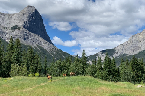 Wycieczka prywatna - Best of Canmore / Kananaskis