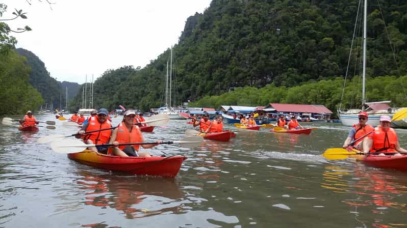 Langkawi: Kilim River Mangrove Safari Kayaking Tour | GetYourGuide