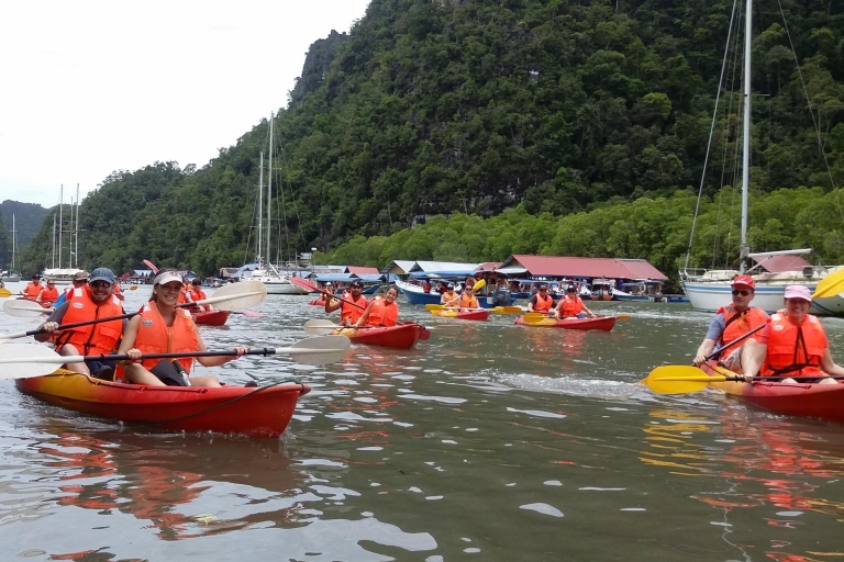 Safari dans les mangroves le long de la rivière Kilim : Excursion de 4 heures en kayakVisite avec déjeuner et transfert d'hôtel