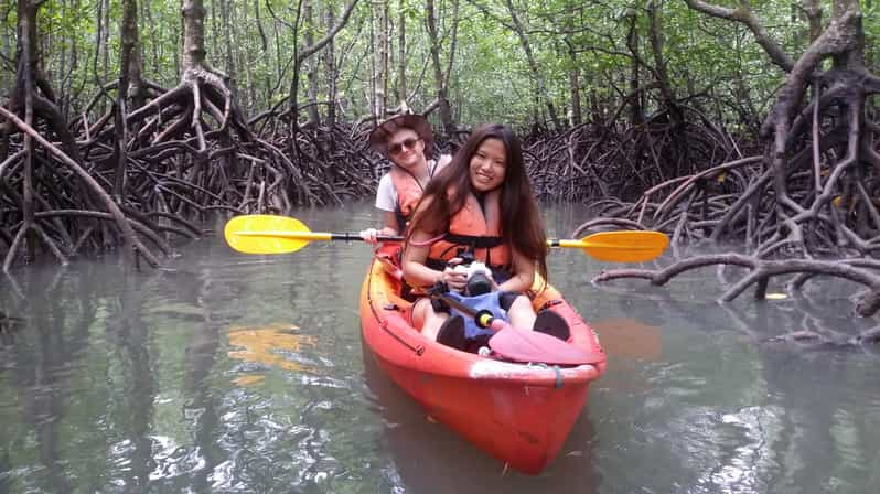 Mangrove Safari along Kilim River: 4-Hour Kayaking Tour | GetYourGuide