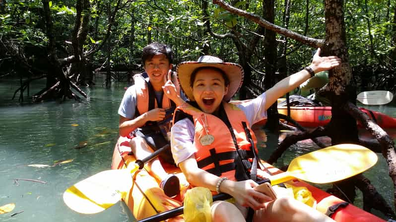 Mangrove Safari along Kilim River: 4-Hour Kayaking Tour | GetYourGuide