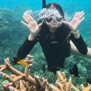 From Yogyakarta: Multi Day Karimunjawa Islands Tour