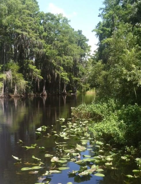 Best Everglades Tours From Orlando, Florida