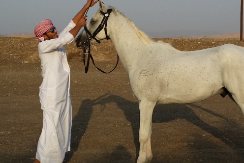 Al Ain Całodniowa wycieczka z DubajuAl Ain Całodniowa wycieczka
