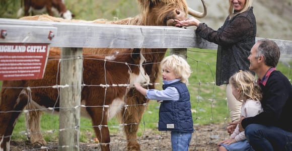 Queenstown: Queenstown Lake Cruise and Walter Peak Farm Tour