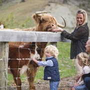 Queenstown: Queenstown Lake Cruise and Walter Peak Farm Tour Queenstown: Queenstown Lake Cruise and Walter Peak Farm Tour