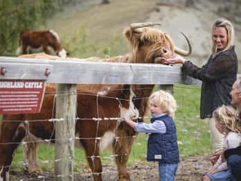 Visite de la ferme + croisière
