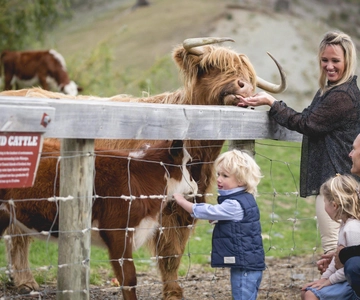 Queenstown: Queenstown Lake Cruise and Walter Peak Farm Tour