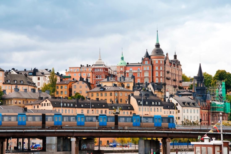 Estocolmo bohemio: tour a pie por la isla de SödermalmTour privado