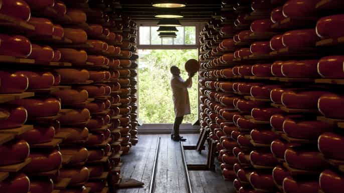 amsterdam 1 h de dégustation de fromage reypenaer avec vin