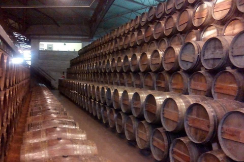 Arrábida and Setúbal: Full-Day Wine Private Tour from Lisbon Arrábida and Setúbal: Full-Day Private Wine Tour from Lisbon