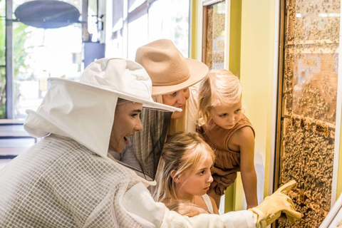 The Sunshine Coast: The Ginger Factory Play Taste & Discover