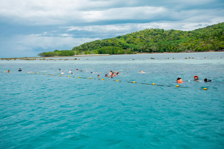 Koh Samui: Avvistamento dei delfini rosa e tour in motoscafo dell&#039;isola di Pig