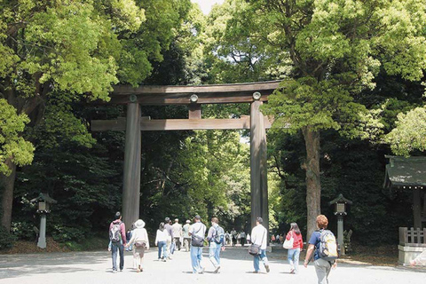 Tokyo: 1 dagstur med buss och lunchShinjuku Avresa